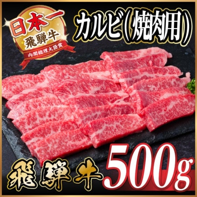飛騨牛　厳選カルビ(焼肉・BBQ用) 500g　A4～A5等級 黒毛和牛　小分け【配送不可地域：離島】