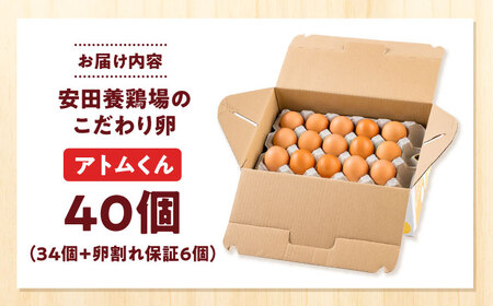 安田養鶏場の卵 アトムくん 40個入り [AKHN003] 産地直送卵 