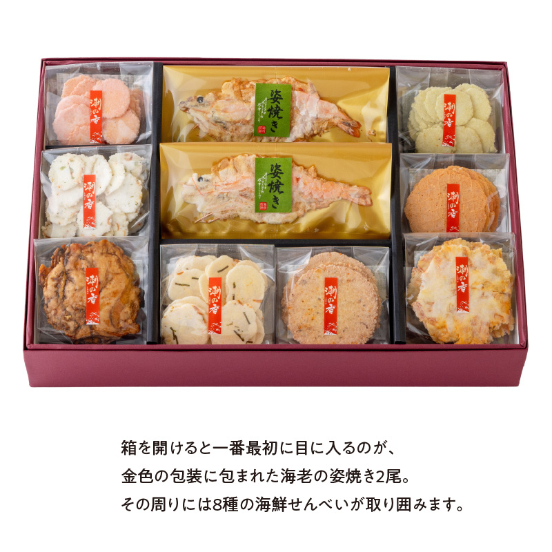 ワンランク上の海鮮煎餅詰合せ「潮の香10袋(9種)」 　海老 えびせん 海老姿焼き 贈り物 ギフト お歳暮 せんべい おつまみ 海鮮 乾物 和菓子 醤油味 お菓子 おやつ 煎餅 梅 わさび 小分け 海