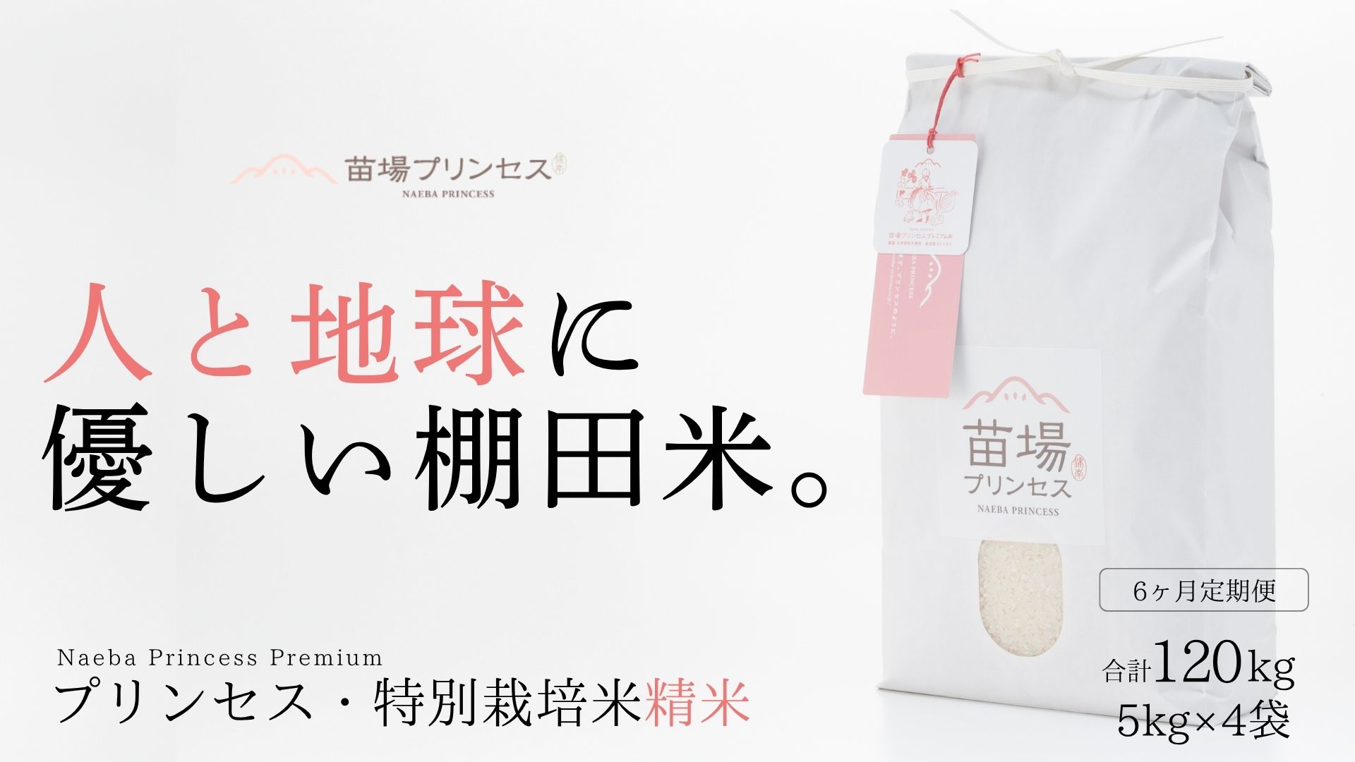 【令和8年産先行予約】【6ヶ月定期便】【農薬化学肥料5割減】魚沼コシヒカリ 苗場プリンセス 特別栽培米 精米 20kg(5kg×4袋)×6回 計120kg