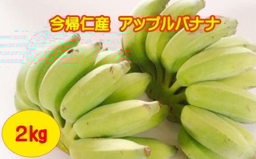 今帰仁村産アップルバナナ（農薬不使用）2㎏