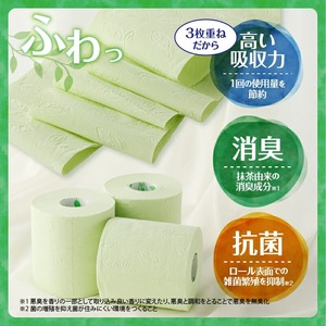 定期便 6回 トイレットペーパー ハナタバ cocochi トリプル 3枚重ね 1パック(12ロール) 再生紙 ふんわり 極厚 消臭 抗菌 緑茶の香り エンボス 紙パッケージ エコ 生活用品 日用品 