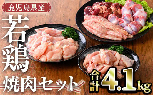 
鹿児島県産 若鶏焼肉セット(計4.1kg) 小分け 鶏肉 セット【TRINITY】A470-v01
