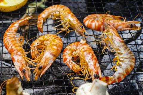 車海老（養殖）　500g