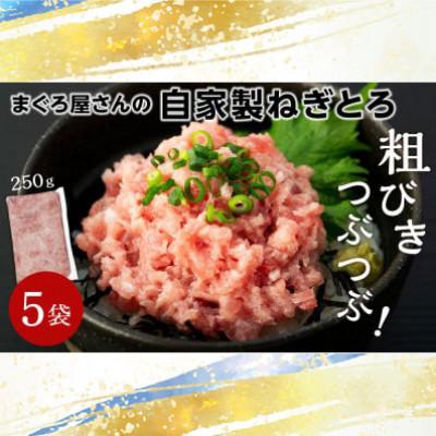 ふるさと納税 松山市 鮮度にこだわった まぐろ屋さんの自家製ねぎとろ 250g×5パック (1.25kg)