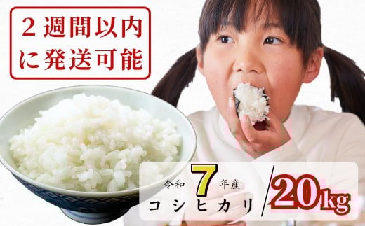 
                  【令和7年産】あわくら源流米 コシヒカリ白米 20kg｜西粟倉村産・昼夜寒暖差が育む甘み｜ふるさと納税 K-ak-AEIA
                