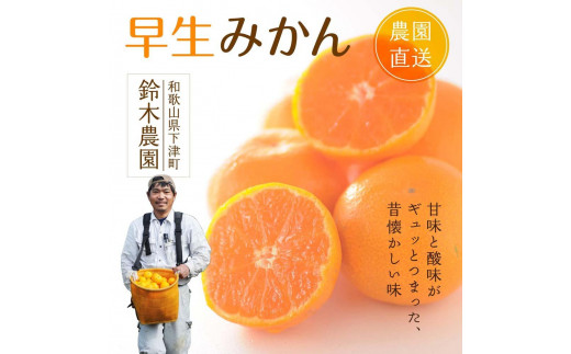早生みかん 5kg SMLサイズ 和歌山県 海南市 鈴木農園 みかん mikan ミカン 蜜柑  温州みかん