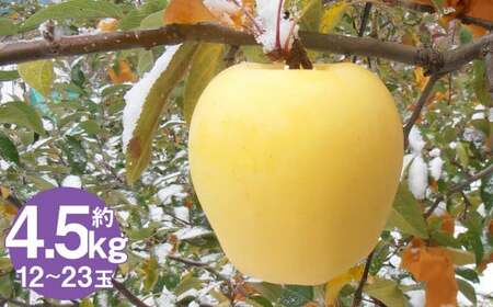 二戸産りんご はるか 約4.5kg （12～23玉）／りんご リンゴ 林檎 フルーツ 果物 旬 お取り寄せ 【2025年12月発送予定】