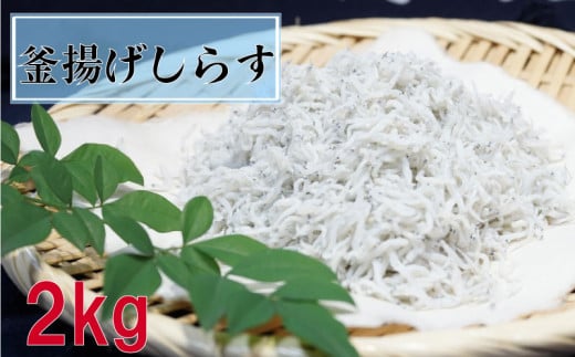 鮮度抜群 海の玄米 子供用 釜揚げ シラス 2kg 冷凍 小分け 個包装 100g × 20パック 大容量 しらす 海の玄米 魚介 海鮮 惣菜 おかず ご飯のお供 晩ごはん 弁当 便利 人気 ふるさと納税 MS026