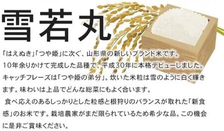 【令和8年産 新米】 特別栽培米雪若丸　無洗米 10kg (5kg×2袋) ×12ヶ月【定期便】 山形県鶴岡産　鶴岡協同ファーム