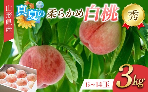 
                  真夏の白桃 3kg 秀品 柔らかめの品種 FSY-2755
                