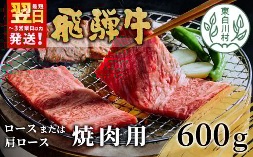 【3月発送】 飛騨牛 ロースまたは肩ロース 焼肉用 600g 牛肉 和牛 肉 焼肉 BBQ ロース カタロース 肩ロース 東白川村 岐阜 贅沢 霜降り 養老ミート 20000円 二万円