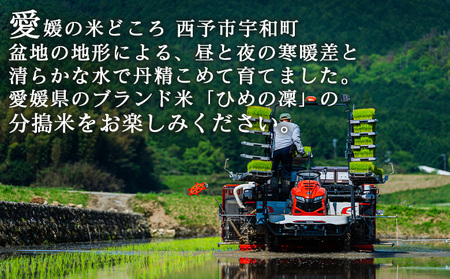 ＜分搗米「BUDUKI」ひめの凜 「7ぶづき」2合入り×6個（1.8kg）＞ ひめのりん 分づき米 ぶづき米 ぶずき米 お米 コメ こめ 選べる 7分づき 玄米 精米 ご飯 もとき農園 愛媛県 西予市