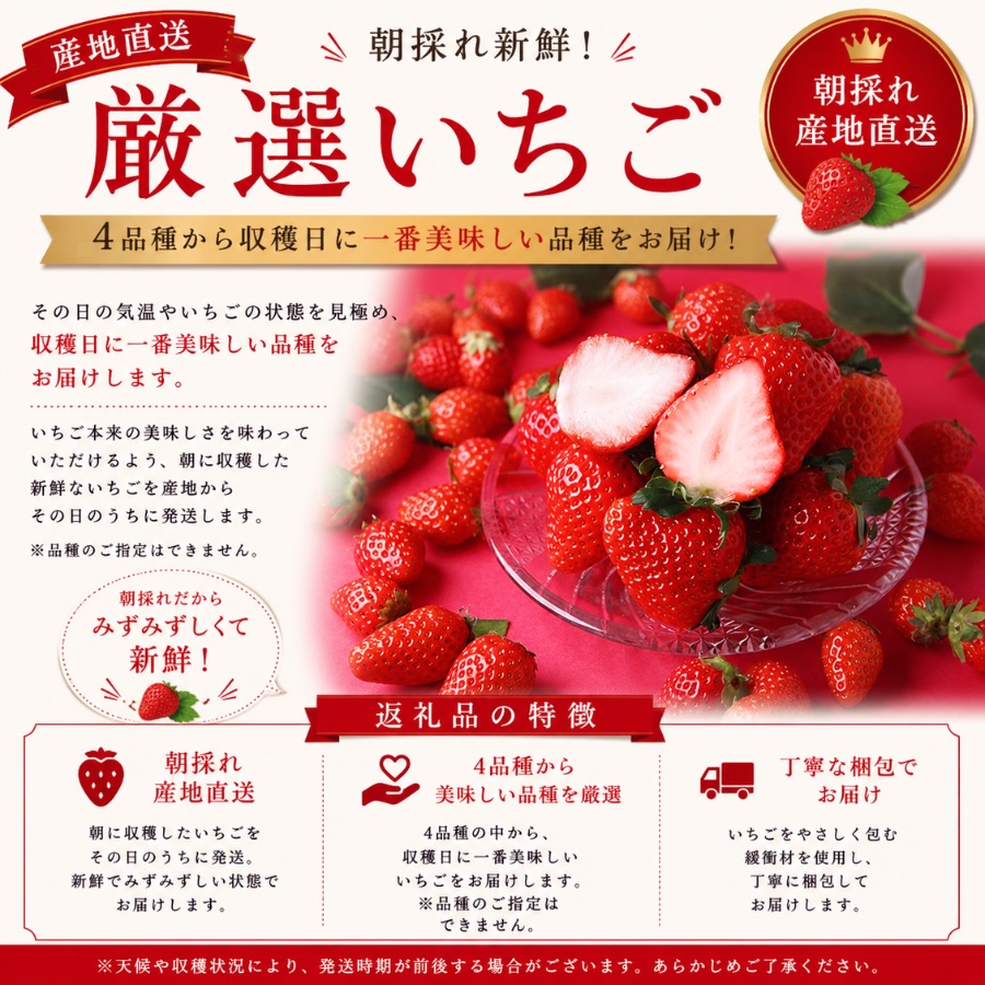 【先行予約＿2027年出荷分】完熟いちご280g 2パック（厳選DXパック）　【 恋みのり かおり野 福岡S6号 堅しろう 苺 いちご イチゴ  恋みのり かおり野 産地直送 旬 果物 フルーツ  く