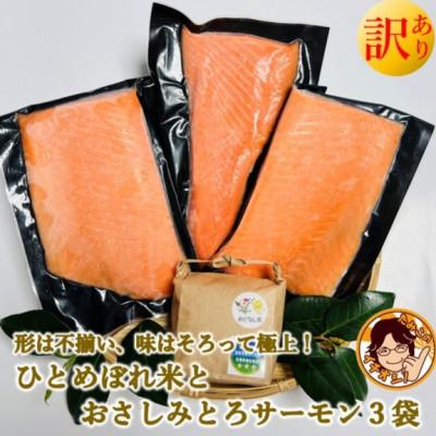 ふるさと納税 宮城県 訳ありお刺身とろサーモン約200g×3袋&amp;ひとめぼれ米2合のセット