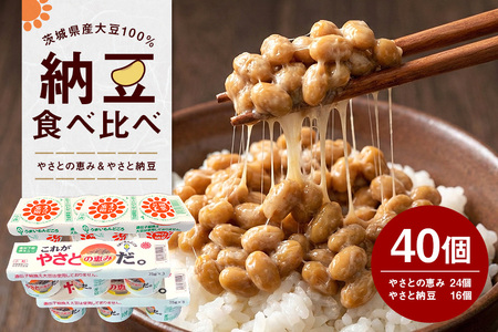 これがやさとの恵みだ&やさと納豆 40食 セット 八郷産 大豆 100％ 小粒 納豆 食べ比べセット 食べ比べ 納豆ごはん 納豆巻き 環境に優しい紙パック 茨城県 石岡市 (A36-002)