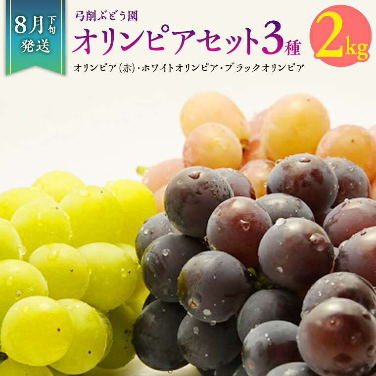 【ふるさと納税】《 2026年 収穫分 》 幻のぶどう オリンピア 3種 約 2kg [A] 糖度18度以上 化粧箱 先行予約 弓削ぶどう園 国産 茨城県 桜川市 はちみつぶどう ぶどう セット フルーツ 詰め合わせ 果物 くだもの フルーツ デザート 旬 自宅用 家庭用 ギフト 贈答 プレゼント