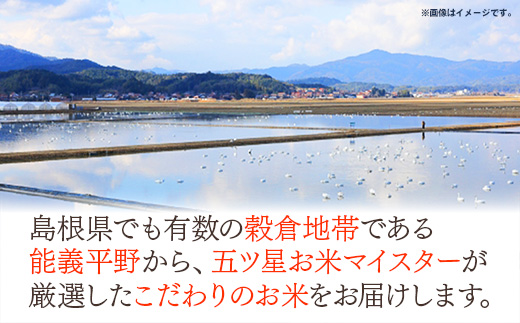 【定期便】五ツ星お米マイスター厳選 能義平野のコシヒカリ 5kg×5回 【令和7年産 5ヶ月定期便こしひかり 計25kg 精米 白米 ご飯 お米 美味しい 安心 安全 沼田米穀店 島根県 安来市】【7