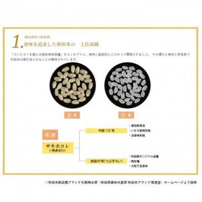 ふるさと納税 大潟村 【毎月定期便】サキホコレ2kg(精米)特栽米全12回 |  | 01
