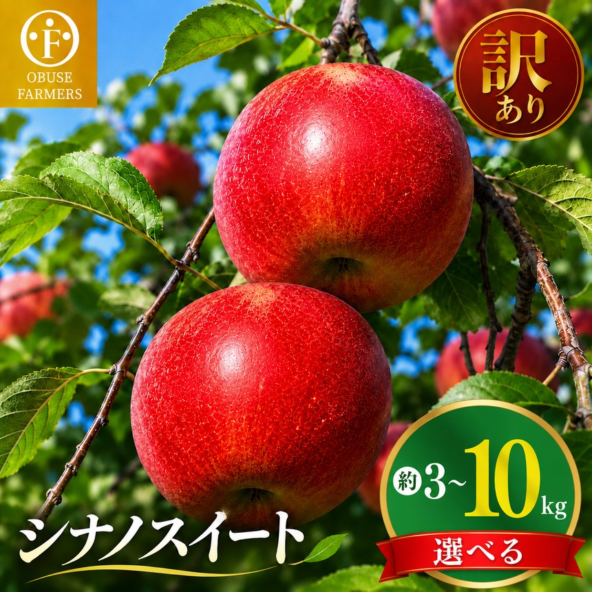 【訳あり】 シナノスイート 約3kg 6～12玉［おぶせファーマーズ］ 2023年10月中旬〜12月中旬発送発送 不揃い 規格外 家庭用 りんご 林檎 リンゴ 果物 フルーツ 長野県産 信州産 先行予約 数量限定 5000円