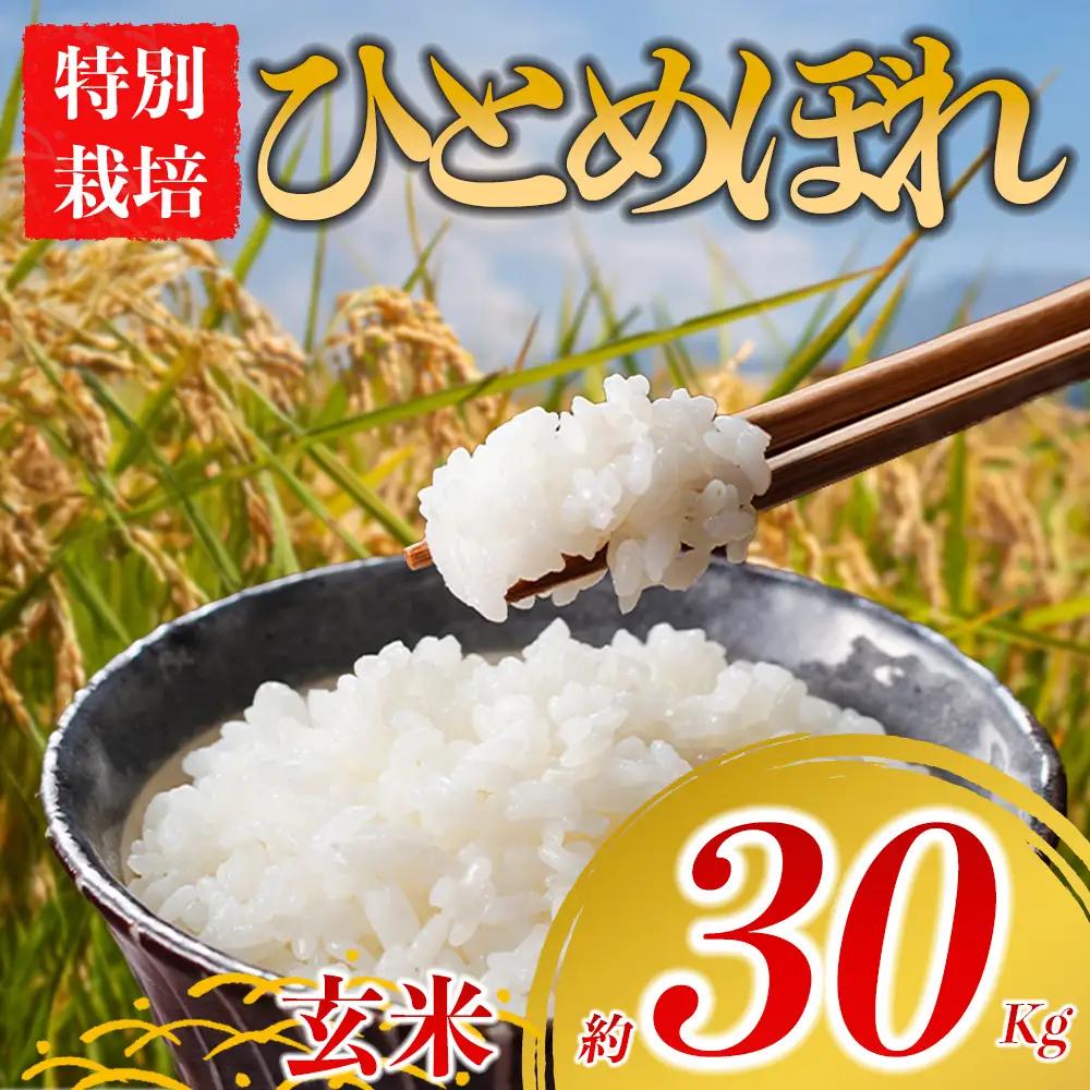 特別栽培米 ひとめぼれ 約30kg×1（玄米）阿蘇アグロスタイル  米 ごはん 人気 美味しい 甘味 もちもち なめらか 減農薬 湧水 熊本県 阿蘇市
