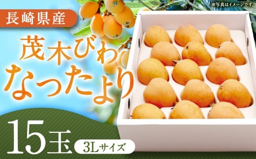 先行予約 茂木 びわ 『なつたより』 3Lサイズ 15玉 入り 【2026年5月下旬～6月上旬迄発送予定】 ／ 果物 くだもの フルーツ 枇杷 ビワ 長崎県 長崎市 川口農園