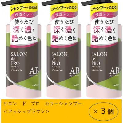 ふるさと納税 稲沢市 ダリヤ　サロン　ド　プロ　カラーシャンプー&amp;トリートメント《アッシュブラウン》各3個セット