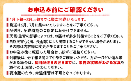 特大5Lサイズ 宮崎県産 完熟マンゴー 2玉 化粧箱入り 令和8年発送分 期間限定 数量限定 フルーツ 果物 くだもの 国産 食品 デザート おすすめ ご褒美 贅沢 産地直送 特大 希少 お祝 お土産