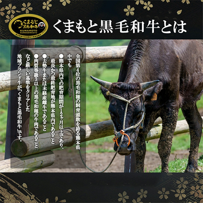 【阿蘇牧場】熊本県統一ブランド「くまもと黒毛和牛」すき焼き用 500g