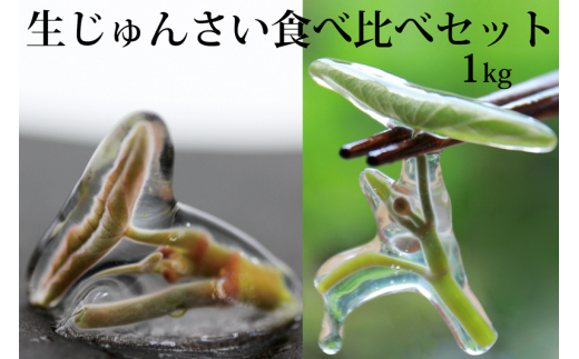 生じゅんさい食べ比べセット1kg タレ4個《冷蔵》(2026年5月上旬頃～7月下旬発送予定)先行受付