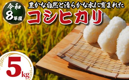 令和8年産 米 コシヒカリ 選べる 5kg 白米 ご飯 おにぎり お弁当 ギフト 贈答 プレゼント お取り寄せ グルメ 先行予約 送料無料 5キロ ５キロ 徳島 小松島