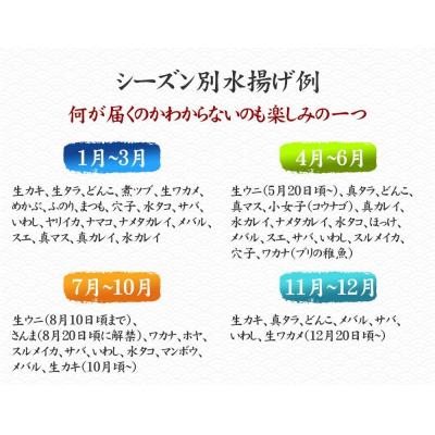 ふるさと納税 陸前高田市 【厳選】三陸海の恵み詰め合わせ【下処理済】(4〜5人用) |  | 03