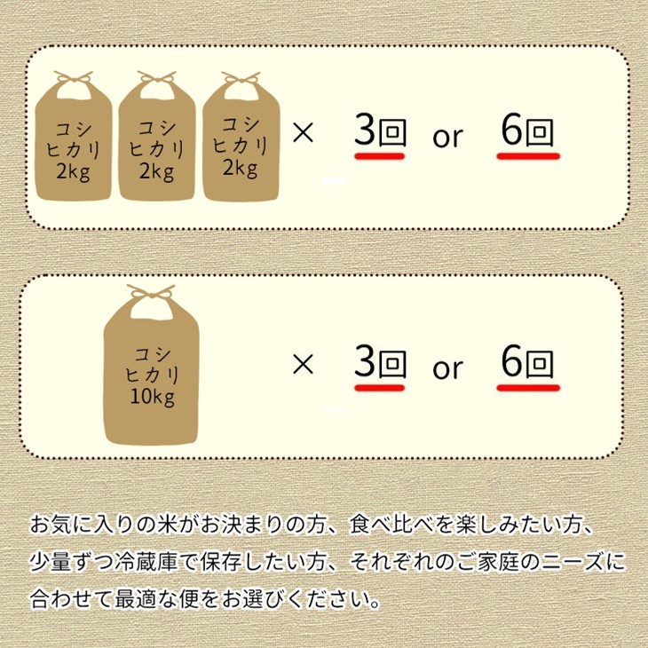 【9月より新米】【定期便】米 京都丹波米 10kg(こしひかり5kg・きぬひかり5kg)×6回 計60kg◇◆◇ 6ヶ月 白米 6回定期便 コシヒカリ・キヌヒカリ 各5kg 米 精米したてをお届け