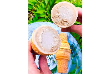 平野屋自家製「抹茶アイス」と「ほうじ茶アイス」のセット【6月～10月のお届け】 冷菓 お菓子 おやつ アイス 抹茶アイス ほうじ茶アイス 自家製 夏季限定 お取り寄せ ひんやりグルメ 【1339】