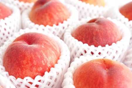 AE048【令和4年度出荷分】食べたら笑顔になる！島原育ちの桃 1Kg　＜数量限定＞