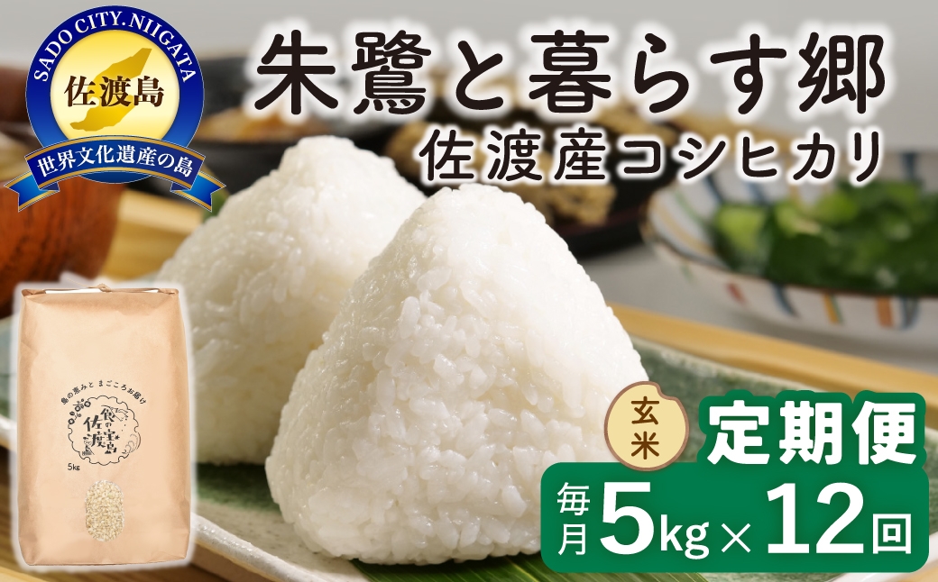 
                  【定期便 令和8年産新米 12か月】 佐渡島産コシヒカリ 玄米 5kg 令和8年産新米 特別栽培米 | 新潟県産コシヒカリ 新潟産コシヒカリ 佐渡産コシヒカリ 新潟県産こしひかり 佐渡産こしひかり お米 米 こしひかり 玄米 げんまい おこめ コメ 5キロ にいがた さど 新潟県 佐渡市
                