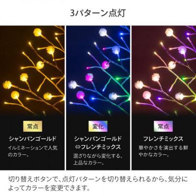 ふるさと納税 海南市 彩プレミアム TOKKAツリー L　79915200 |  | 02