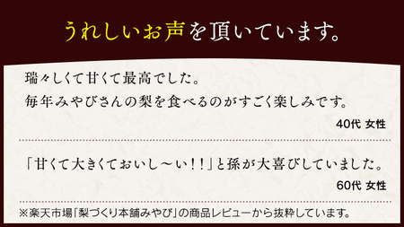 極上の雫 『 豊水 』 5kg ( 自家用 ) フルーツ 果物 国産 日本産 梨 ナシ なし 和梨 [DJ002ci]