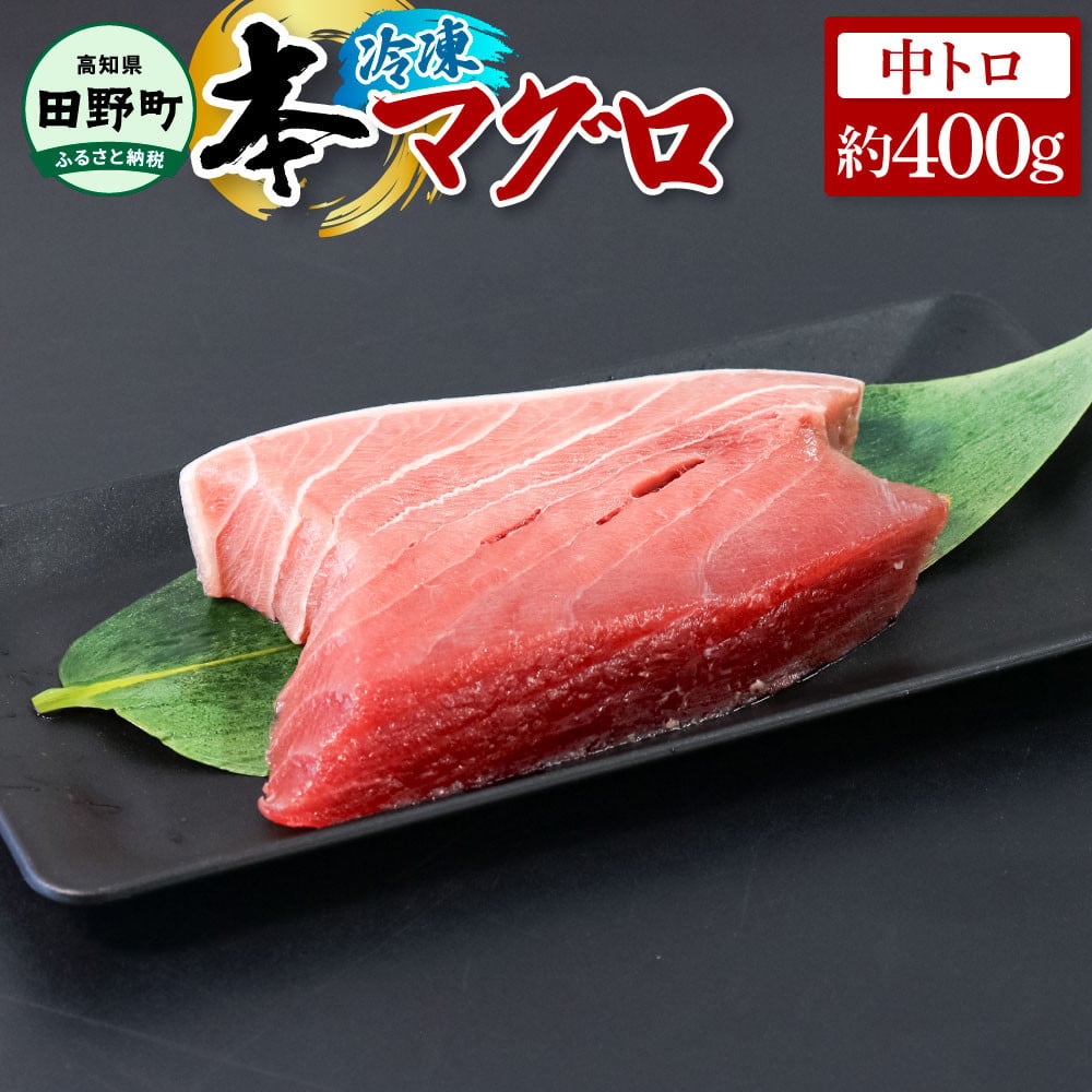 
                  マグロ 本まぐろ 中トロ 約400g 本マグロ 本鮪 中とろ まぐろ 刺身 トロ まぐろたたき マグロ 赤身 マグロ たたき 刺し身 さしみ 魚 魚介 海鮮 海鮮丼 寿司 海の幸 生鮮 おかず おつまみ 惣菜 おいしい 美味しい ～四国一小さなまち～
                