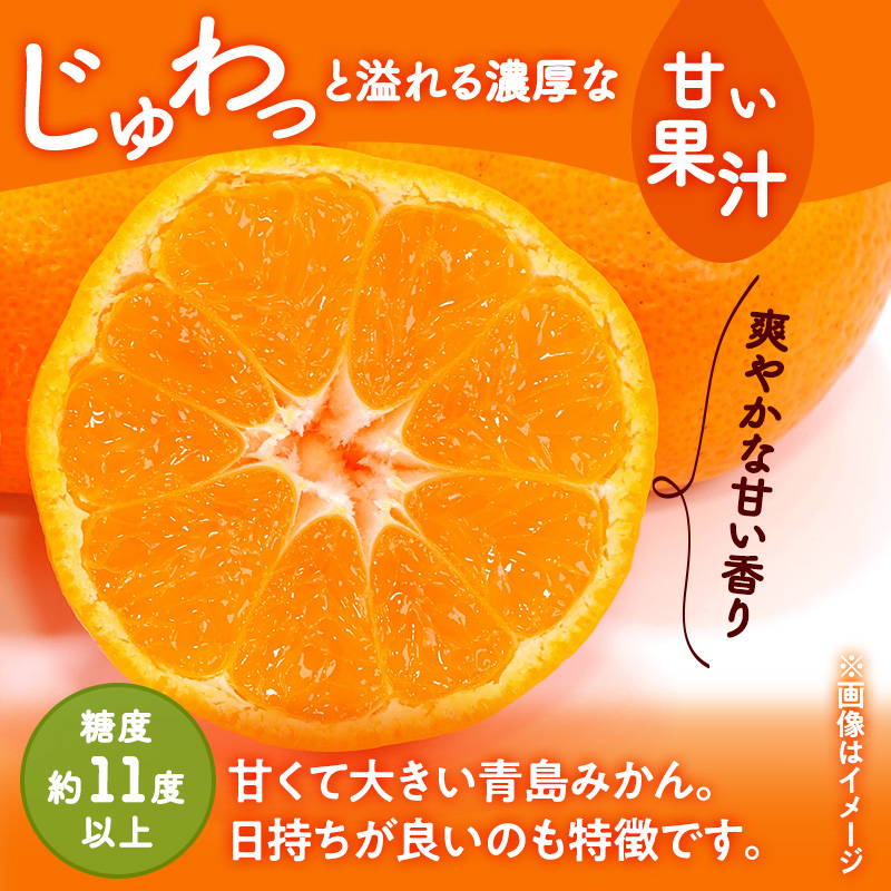 三ヶ日みかん 青島 6kg L～2L 青島みかん みかん 蜜柑 ミカン 