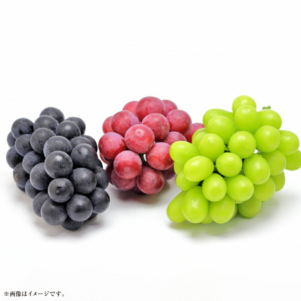 【ふるさと納税】《先行予約》 旬のぶどう詰合せ 2種（4パック）セット（シャインマスカット晴王 1房×2パック、旬のぶどうお任せ 1房×2パック）【2025年9月上旬～11月下旬 発送予定】