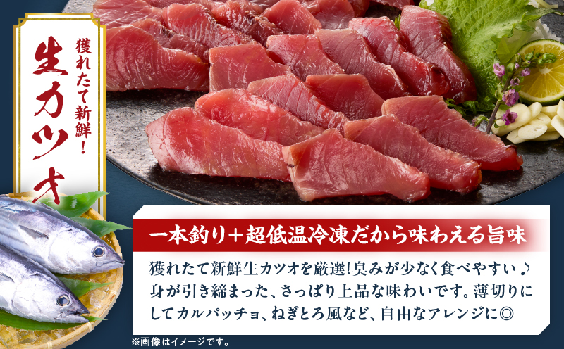 獲れたて 新鮮 生カツオ 刺身 塩麹漬け カツオ刺身 食べ比べ セット 計800g 魚 魚介類 海鮮 食品 国産 鰹 かつお さしみ 刺し身 赤身 急速冷凍 小分け 真空パック 個包装 ギフト 贈り物