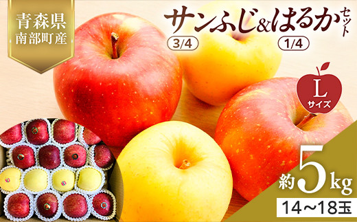 青森県産 サンふじ(3/4)・はるか(1/4)セット Lサイズ 5kg 【佐々木あきおはるこ農園】 青森りんご リンゴ 林檎 アップル あおもり 青森県 南部町 三戸 果物 くだもの フルーツ おすすめ F21U-574