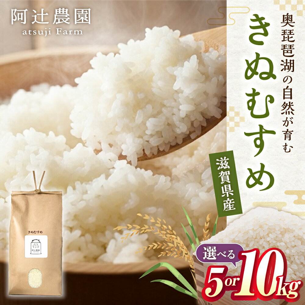 【ふるさと納税】＜先行予約＞【令和8年産 新米】【選べる容量】きぬむすめ 5kg〜10kg 長浜市/阿辻農園[AQAW015] きぬむすめ キヌムスメ 白米 米 精米 冷めても美味しい 滋賀県産 5キロ 10キロ おにぎり お弁当 ごはん ふっくら もっちり 和食