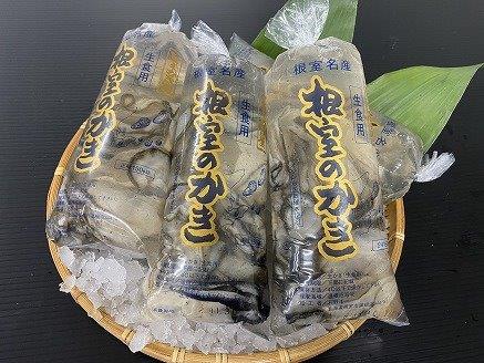 【北海道根室産】牡蠣むき身150g×8P[5月下旬以降発送] B-54004