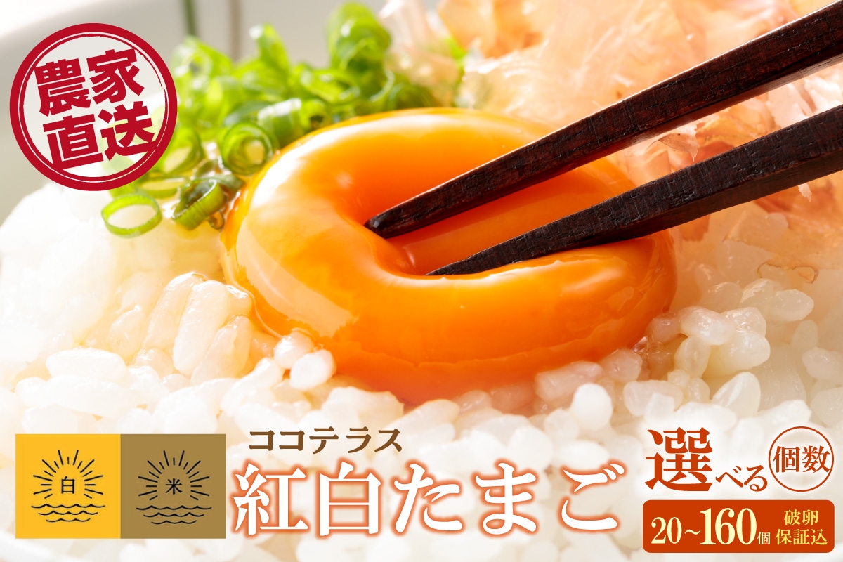 
            ココテラスの紅白たまご　単品　20個から160個　選べる個数【JGAP認証】
          