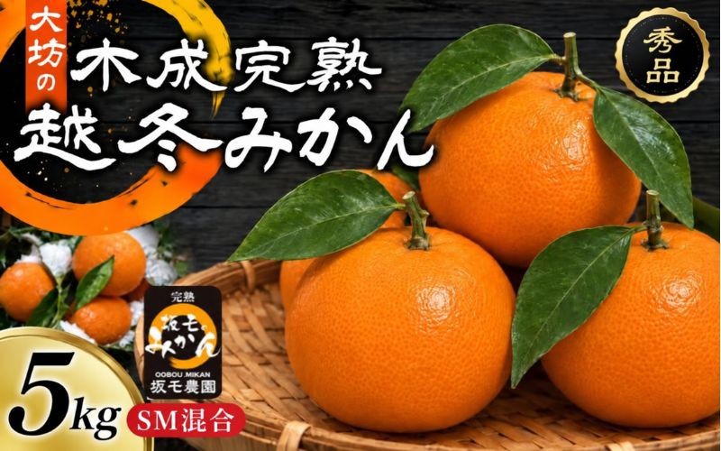 
                  木成完熟越冬葉付みかん SM混合 5kg大坊 / 田辺市 温州みかん みかん 大坊みかん 坂も農園 フルーツ【sme011】
                