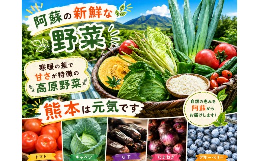 【阿蘇 郷乃舎】阿蘇高原 農家直送こだわり野菜 お野菜 6~8品 野菜ソムリエ上級プロ厳選 郷乃舎 新鮮 お野菜 産地直送  詰め合わせ お取り寄せ 熊本県 阿蘇市