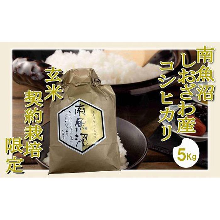 【令和7年産】【玄米５Kg】●玄米● 生産者限定 南魚沼しおざわ産コシヒカリ