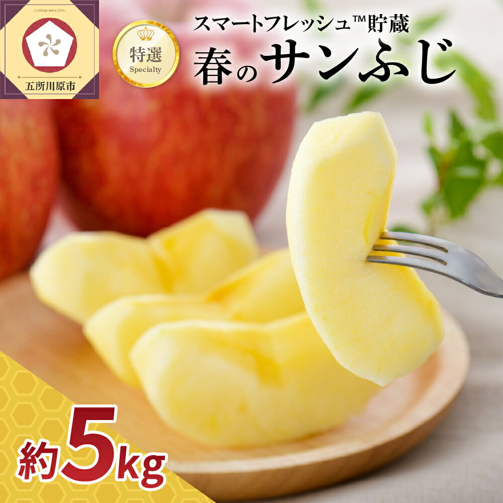 【ふるさと納税】【発送時期が選べる】りんご 春 の サンふじ 特選 5kg スマートフレッシュTM貯蔵 または CA貯蔵 フルーツ 果物 送料無料 産地直送 お取り寄せグルメ 青森県 五所川原市